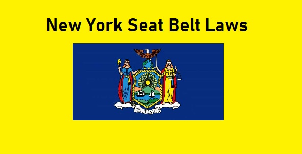 New York Seat Belt Laws Back And